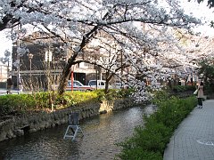 spring afternoon